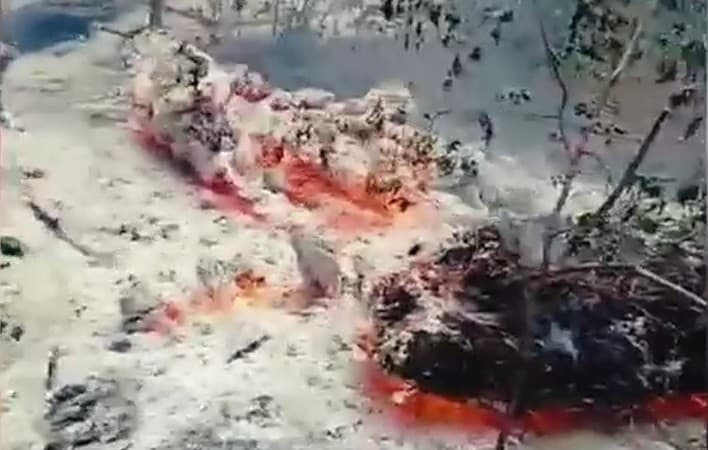 Armata caută răspunsuri la Plauru după incendiul de pădure. Ce se verifică în zonă