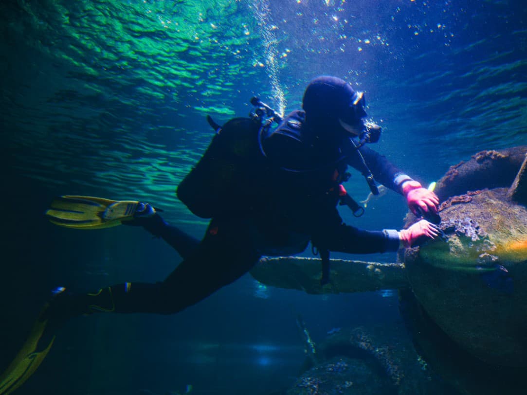 Războiul ajunge pe fundul oceanelor. De ce cablurile submarine au devenit o miză strategică